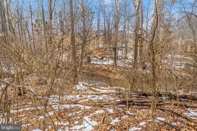 7014 Linden Avenue, Elkridge, MD 21075 - Photo 47