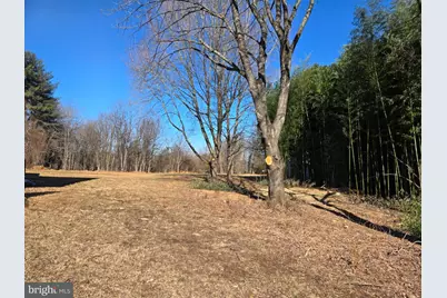 3415 Jennings Chapel Road, Woodbine, MD 21797 - Photo 7