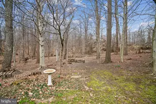 5885 Stearman Ct, Elkridge, MD 21075 - Photo 105