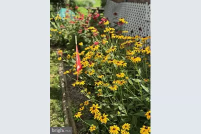 10800 Robin Lynn Drive, Ellicott City, MD 21042 - Photo 49