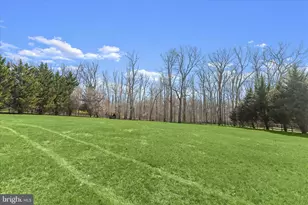 3210 Daisy Rd, Woodbine, MD 21797 - Photo 77