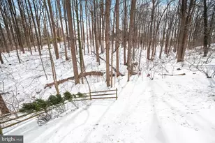 9733 Starling Rd, Ellicott City, MD 21042 - Photo 51