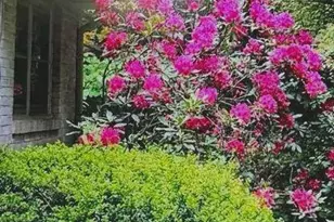 7244 Mink Hollow Rd, Highland, MD 20777 - Photo 73