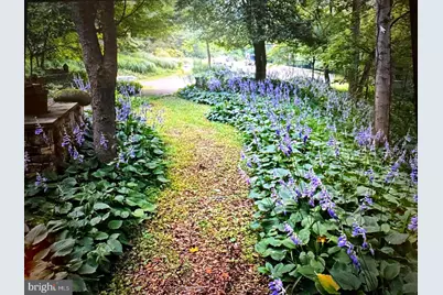 7244 Mink Hollow Road, Highland, MD 20777 - Photo 9