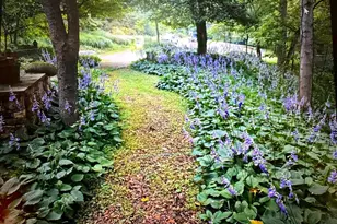 7244 Mink Hollow Rd, Highland, MD 20777 - Photo 9