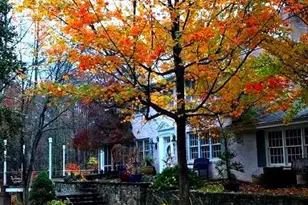 7244 Mink Hollow Rd, Highland, MD 20777 - Photo 101