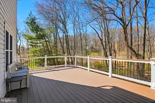 3514 Lame Beaver Ct, Ellicott City, MD 21042 - Photo 43