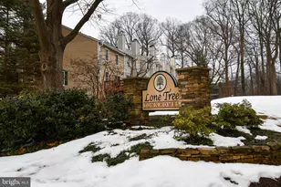 11796 Lone Tree Ct, Columbia, MD 21044 - Photo 41