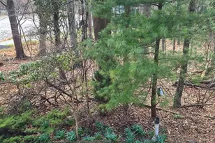 7120 Winter Rose Path, Columbia, MD 21045 - Photo 27