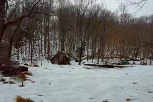 15899 Newport Rd, Mount Airy, MD 21771 - Photo 9