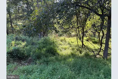 Joey Drive, Ellicott City, MD 21042 - Photo 7