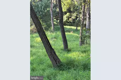 Joey Drive, Ellicott City, MD 21042 - Photo 5