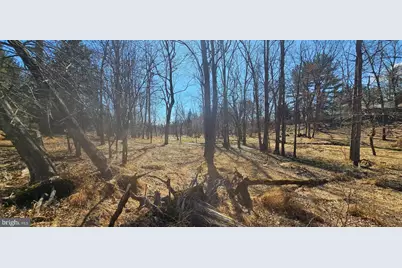 Joey Drive, Ellicott City, MD 21042 - Photo 13