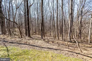 12839 Forest Creek Ct, Sykesville, MD 21784 - Photo 95