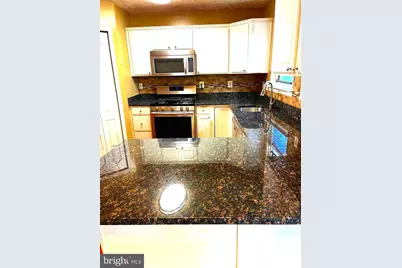 3280 Halcyon Court, Ellicott City, MD 21043 - Photo 15