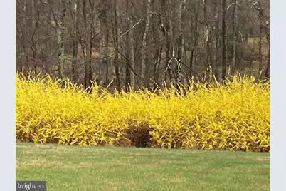 3272 Starting Gate Court, Woodbine, MD 21797 - Photo 5