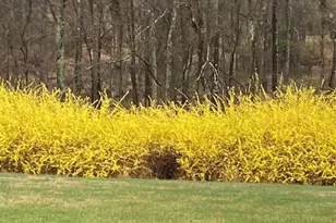 3272 Starting Gate Ct, Woodbine, MD 21797 - Photo 5