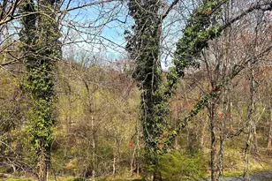 6515 Overheart Ln, Columbia, MD 21045 - Photo 3