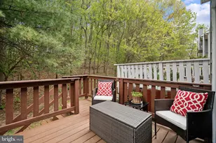 7828 Old Litchfield Ln, Ellicott City, MD 21043 - Photo 31