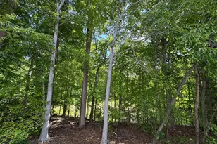 9214 Brewington Ln, Laurel, MD 20723 - Photo 15