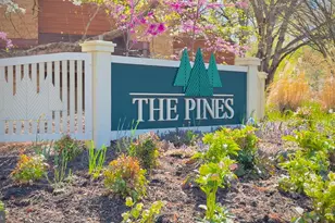 7555 Weather Worn Way, Columbia, MD 21046 - Photo 9