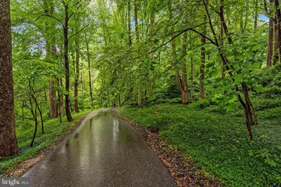 7190 Mink Hollow Road, Highland, MD 20777 - Photo 5