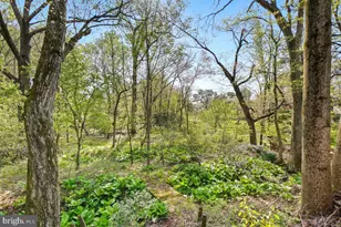 3006 Woodberry Ln, Ellicott City, MD 21042 - Photo 49