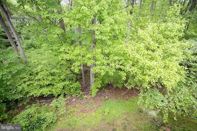 11430 Little Patuxent Parkway #807, Columbia, MD 21044 - Photo 29