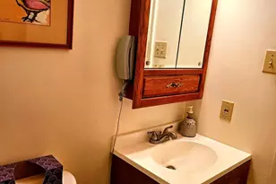 9676 Oak Hill Dr, Ellicott City, MD 21042 - Photo 31
