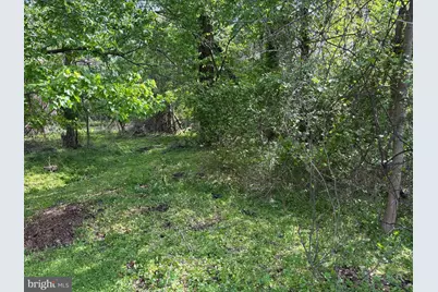6717 Lowes Lane, Elkridge, MD 21075 - Photo 61