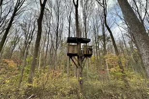 7049 Mink Hollow Rd, Highland, MD 20777 - Photo 63