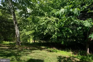 8513 Timber Hill Ct, Ellicott City, MD 21043 - Photo 13