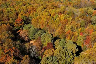 Lot 2 Ten Oaks Rd, Dayton, MD 21036 - Photo 1