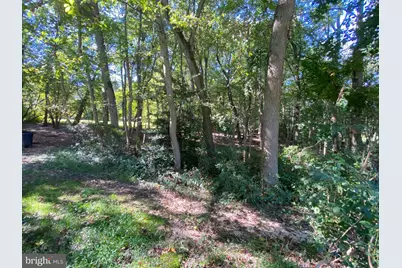 6650 Montgomery Road, Elkridge, MD 21075 - Photo 21