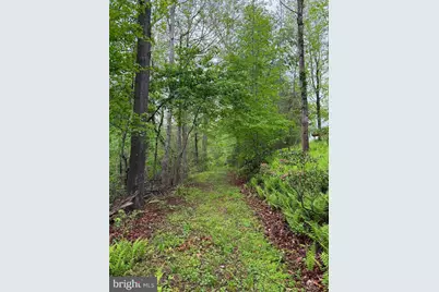 15033 Oak Ridge Court, Dayton, MD 21036 - Photo 27