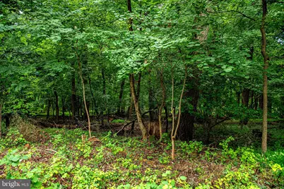 16515 Frederick Road, Mount Airy, MD 21771 - Photo 25