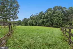 2545 Mullinix Mill Rd, Mount Airy, MD 21771 - Photo 63