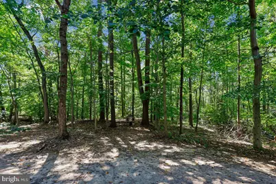 7737 Chatfield Lane, Ellicott City, MD 21043 - Photo 39