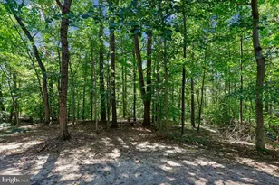 7737 Chatfield Ln, Ellicott City, MD 21043 - Photo 39