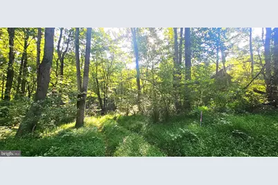 546 W Watersville Road, Mount Airy, MD 21771 - Photo 9