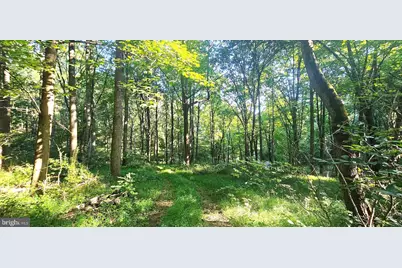 546 W Watersville Road, Mount Airy, MD 21771 - Photo 3
