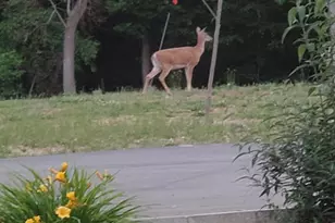 21 6th Ave, Betterton, MD 21610 - Photo 61