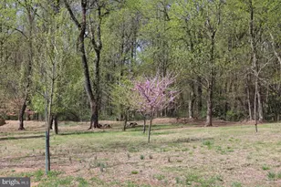 21 6th Ave, Betterton, MD 21610 - Photo 57