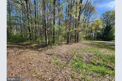 Bunting Road, Chestertown, MD 21620 - Photo 3