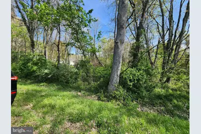 Towhee Road, Chestertown, MD 21620 - Photo 3