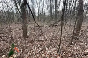 Georgetown Rd, Chestertown, MD 21620 - Photo 1