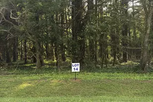 14 Wilson Point Rd, Galena, MD 21635 - Photo 1