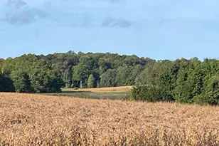 0 Will Be 11037 Bottom Rd, Worton, MD 21678 - Photo 31