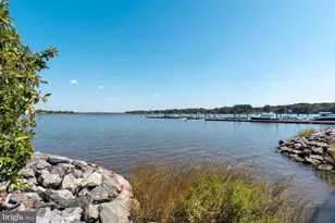 118 Little Harbor Way, Chestertown, MD 21620 - Photo 17