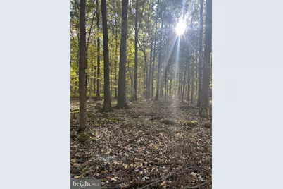 Georgetown Road, Chestertown, MD 21620 - Photo 5
